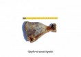 /album/veprove-zbozi-skladem/veprova-susena-lopatka-jpg/